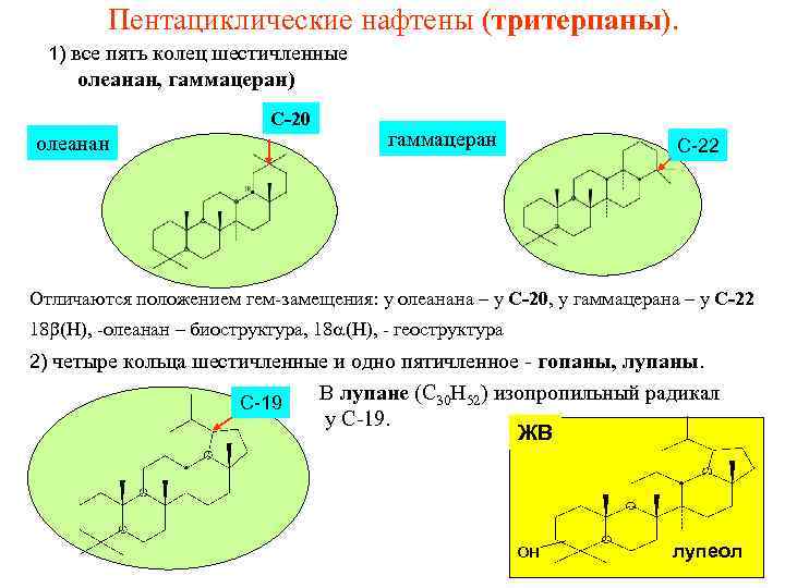 Пентациклические нафтены (тритерпаны). 1) все пять колец шестичленные олеанан, гаммацеран) С-20 олеанан гаммацеран С-22