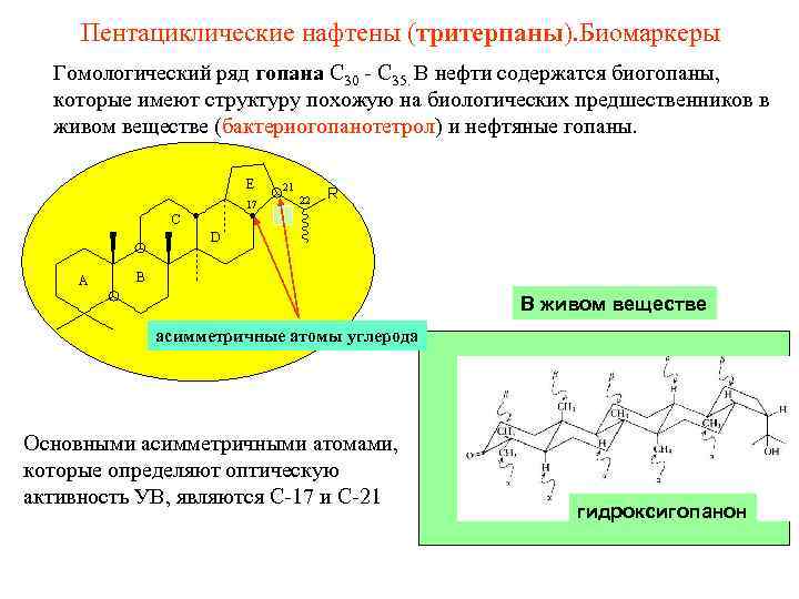 Пентациклические нафтены (тритерпаны). Биомаркеры Гомологический ряд гопана С 30 - С 35. В нефти