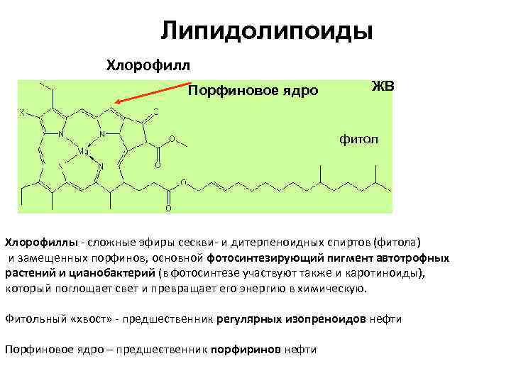 Состав хлорофилла. Фитол в хлорофилле. Функции хлорофилла. Функции хлорофиллов.