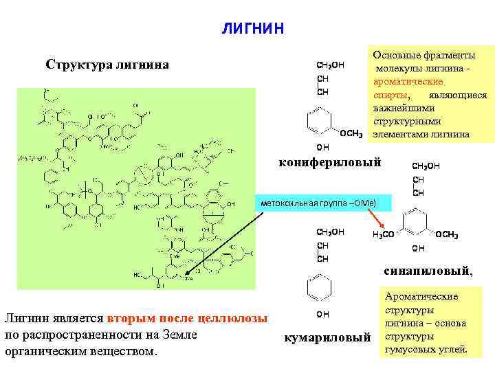 ЛИГНИН Основные фрагменты молекулы лигнина ароматические спирты, являющиеся важнейшими структурными элементами лигнина Структура лигнина