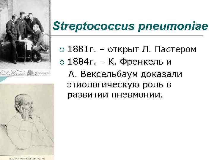 Streptococcus pneumoniae 1881 г. – открыт Л. Пастером ¡ 1884 г. – К. Френкель