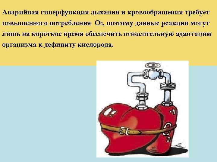 Аварийная гиперфункция дыхания и кровообращения требует повышенного потребления О 2, поэтому данные реакции могут