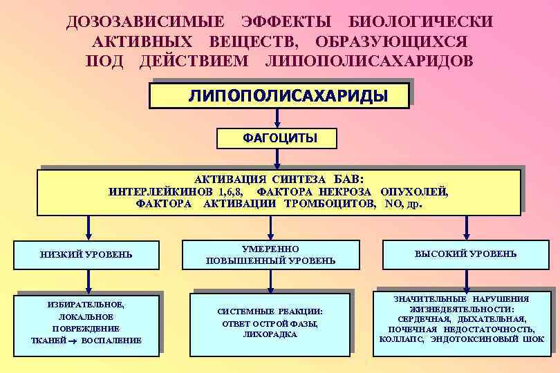 ДОЗОЗАВИСИМЫЕ ЭФФЕКТЫ БИОЛОГИЧЕСКИ АКТИВНЫХ ВЕЩЕСТВ, ОБРАЗУЮЩИХСЯ ПОД ДЕЙСТВИЕМ ЛИПОПОЛИСАХАРИДОВ ЛИПОПОЛИСАХАРИДЫ ФАГОЦИТЫ АКТИВАЦИЯ СИНТЕЗА БАВ: