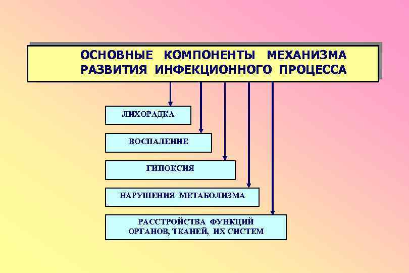 Цепочка инфекционного процесса схема