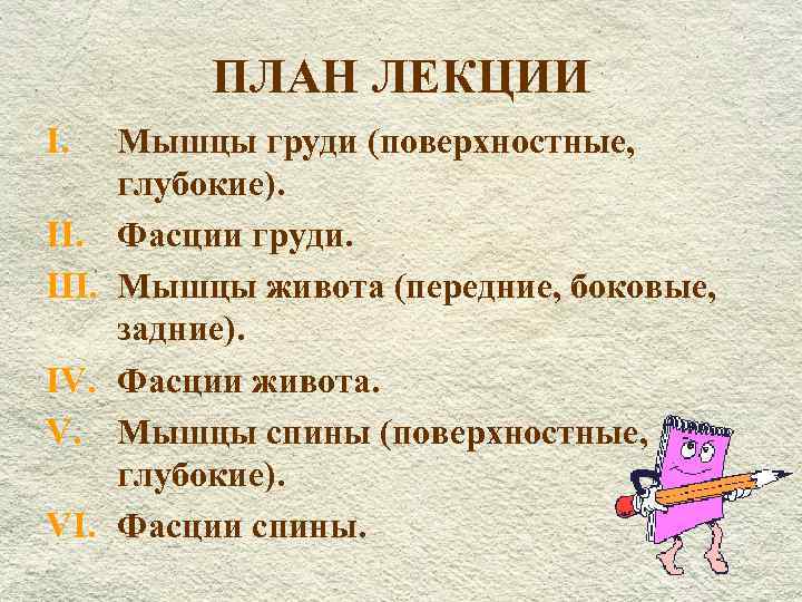 ПЛАН ЛЕКЦИИ I. III. IV. V. VI. Мышцы груди (поверхностные, глубокие). Фасции груди. Мышцы