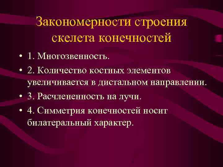 Закономерности строения скелета конечностей • 1. Многозвенность. • 2. Количество костных элементов увеличивается в