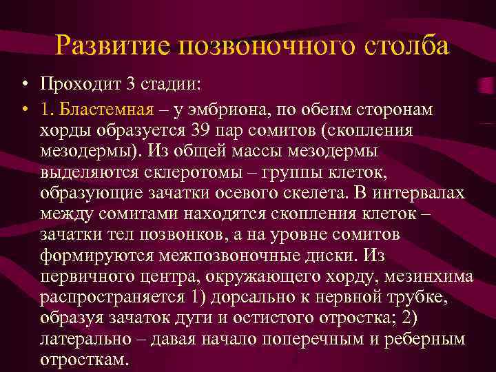 Развитие позвоночного столба • Проходит 3 стадии: • 1. Бластемная – у эмбриона, по