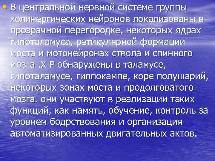  • В центральной нервной системе группы холинергических нейронов локализованы в прозрачной перегородке, некоторых