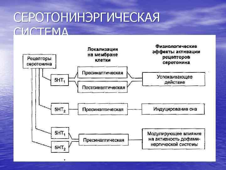 СЕРОТОНИНЭРГИЧЕСКАЯ СИСТЕМА 