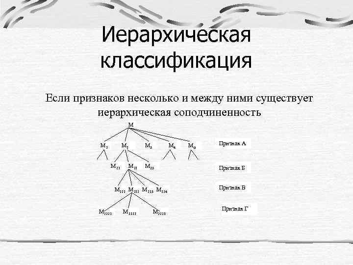 Иерархическая схема классификации плодов