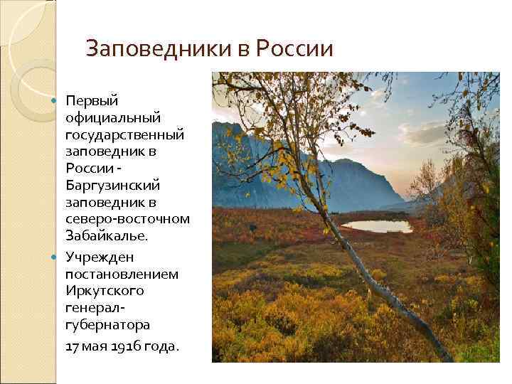 Заповедники в России Первый официальный государственный заповедник в России - Баргузинский заповедник в северо-восточном