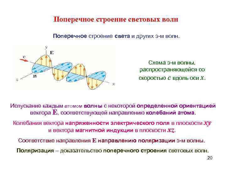 Поперечное строение световых волн Поперечное строение света и других э-м волн. Схема э-м волны,