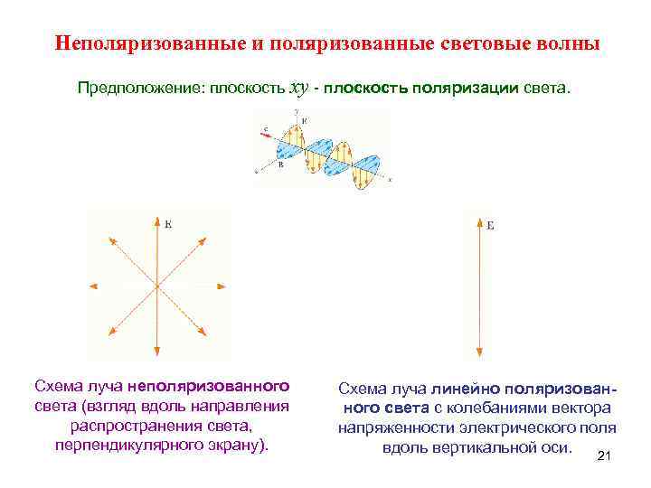 Линейный луч. Плоскополяризованный и линейно поляризованный свет. Схема неполяризованного и поляризованного луча света. Линейная поляризация света.