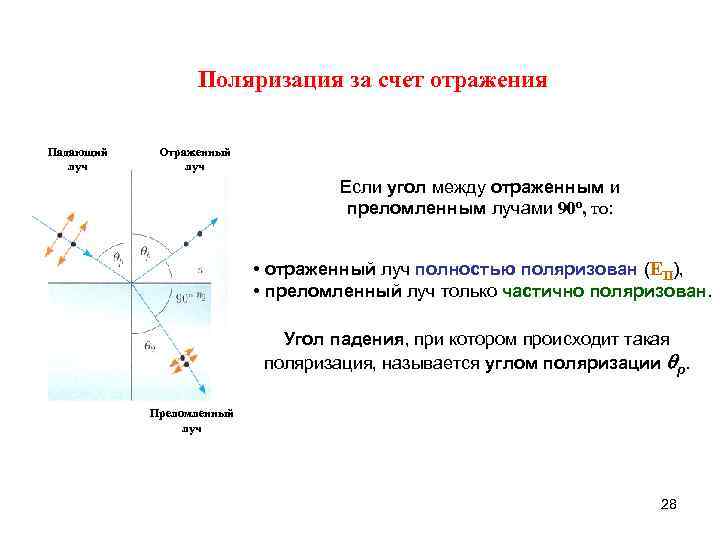 Угол между отраженным лучом. Угол между отраженным и преломленным лучами. Отраженный Луч полностью поляризован если. Угол между преломленным лучом и отраженным лучом. Угол между отражением и преломленными лучами -.