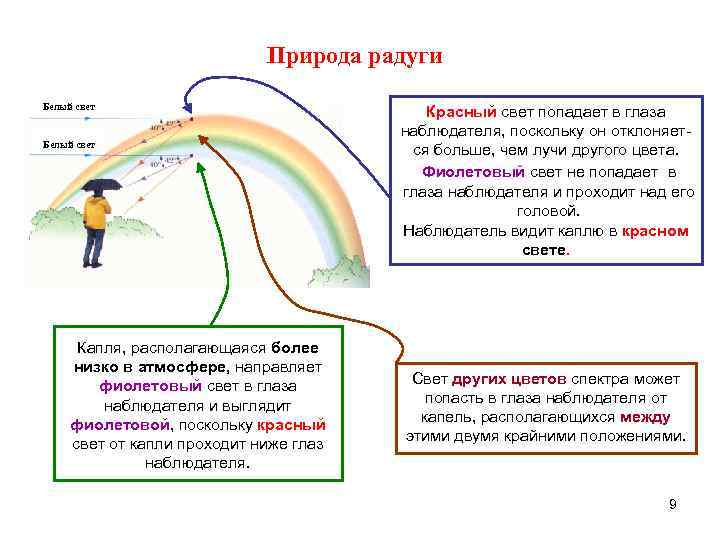 Белая радуга ответить на вопросы. Глаз наблюдателя и Радуга. Почему мы видим радугу. Схема как мы видим радугу. Почему человек видит радугу приложенную в глазах.