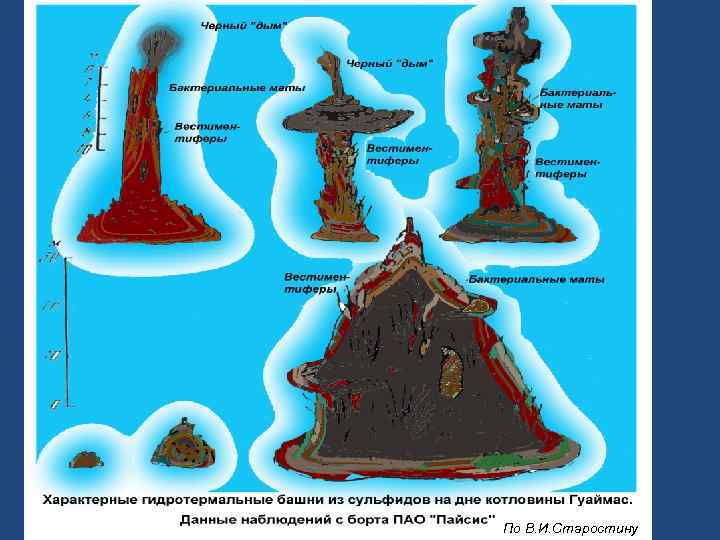 По В. И. Старостину 