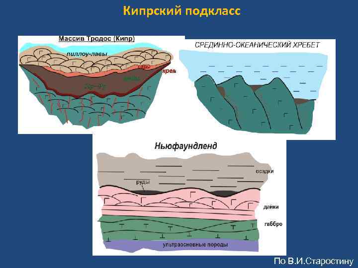 Кипрский подкласс По В. И. Старостину 