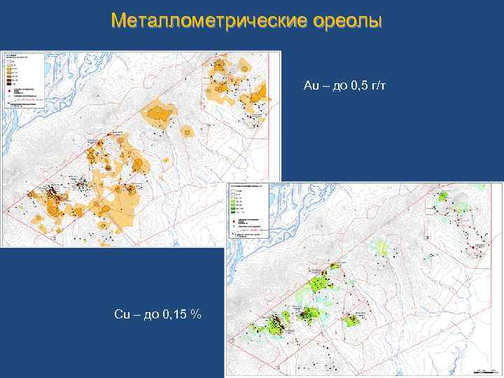 Металлометрические ореолы Au – до 0, 5 г/т Cu – до 0, 15 %