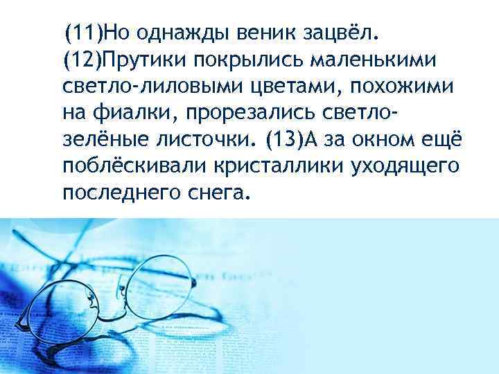  (11)Но однажды веник зацвёл. (12)Прутики покрылись маленькими светло-лиловыми цветами, похожими на фиалки, прорезались