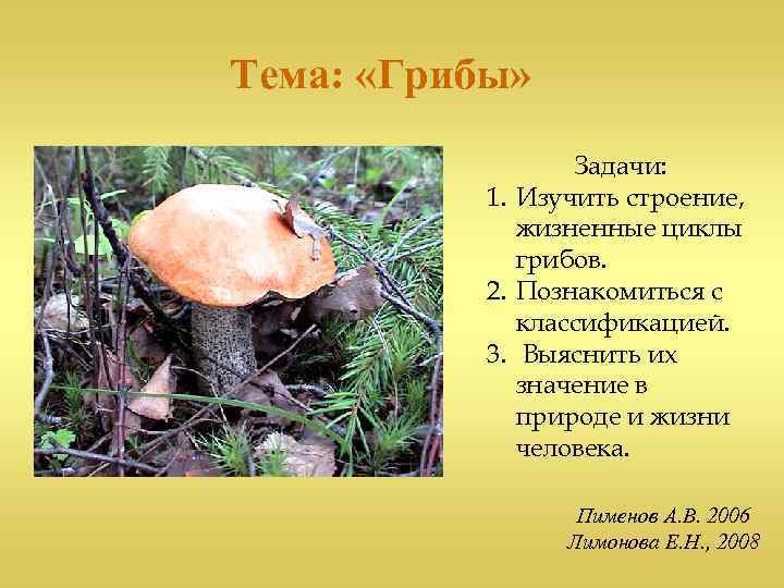 Задача грибы. Тема грибы. Задача про грибы. Задача грибницы. Тема недели грибы цели и задачи.