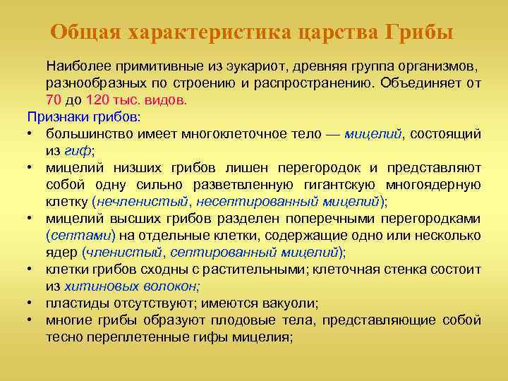 Характеристика царств. Общая характеристика грибов кратко. Царство грибы общая характеристика. Общая характеристика грибов таблица. Характеристика царства грибы.