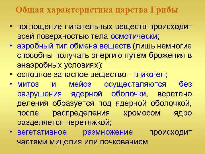 Характеристика царств. Грибы общая характеристика. Царство грибы общая характеристика. Характеристика царства грибы. Общие признаки царства грибов.