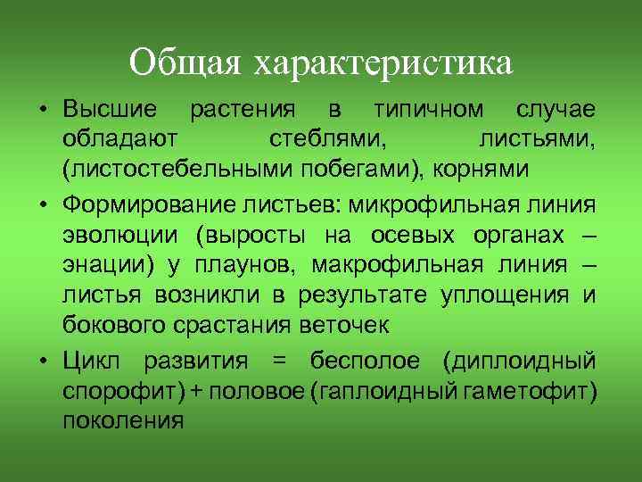 Общая характеристика • Высшие растения в типичном случае обладают стеблями, листьями, (листостебельными побегами), корнями