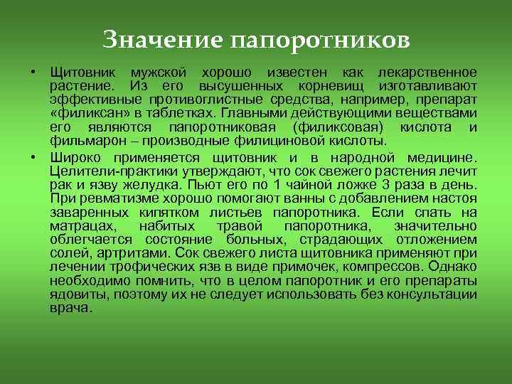 Значение папоротников в жизни. Значение папоротников. Роль папоротников в жизни человека. Сообщение о значении папоротников. Значение папоротников в природе.