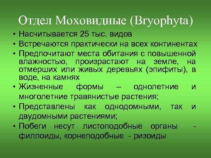 Отдел Моховидные (Bryophyta) • Насчитывается 25 тыс. видов • Встречаются практически на всех континентах