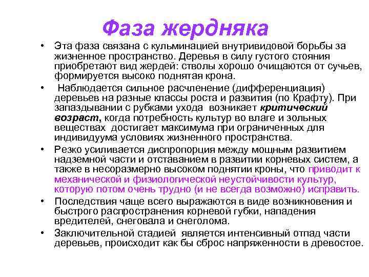 Фаза жердняка • Эта фаза связана с кульминацией внутривидовой борьбы за жизненное пространство. Деревья