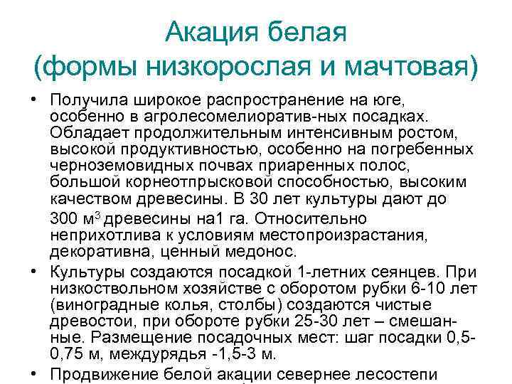 Акация белая (формы низкорослая и мачтовая) • Получила широкое распространение на юге, особенно в