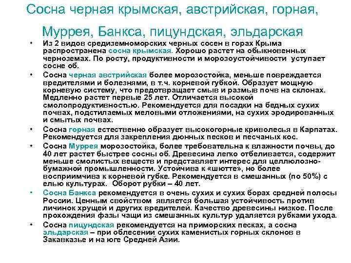 Сосна черная крымская, австрийская, горная, • • • Муррея, Банкса, пицундская, эльдарская Из 2