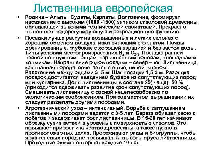  • • • Лиственница европейская Родина – Альпы, Судеты, Карпаты. Долговечна, формирует насаждение