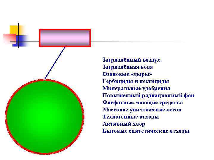Загрязнённый воздух Загрязнённая вода Озоновые «дыры» Гербициды и пестициды Минеральные удобрения Повышенный радиационный фон