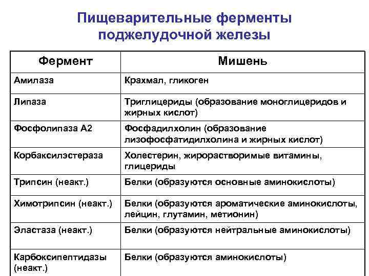 Пищеварительные ферменты поджелудочной железы Фермент Мишень Амилаза Крахмал, гликоген Липаза Триглицериды (образование моноглицеридов и