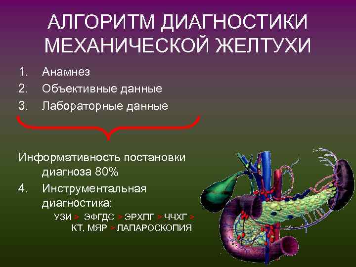 АЛГОРИТМ ДИАГНОСТИКИ МЕХАНИЧЕСКОЙ ЖЕЛТУХИ 1. 2. 3. Анамнез Объективные данные Лабораторные данные Информативность постановки