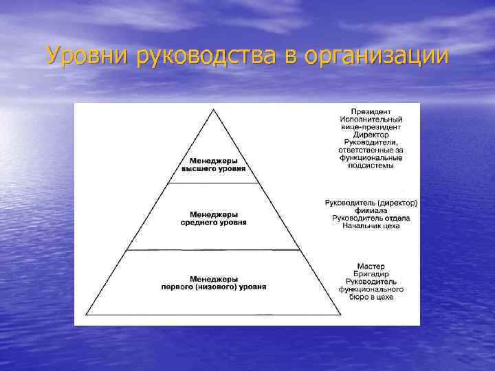 Уровни руководства в организации 