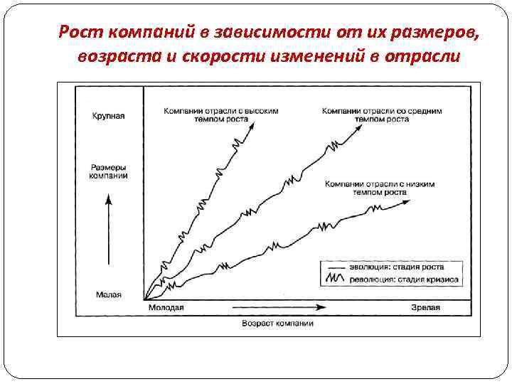Рост компаний в зависимости от их размеров, возраста и скорости изменений в отрасли 