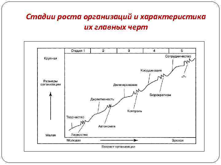 Стадии роста организаций и характеристика их главных черт 