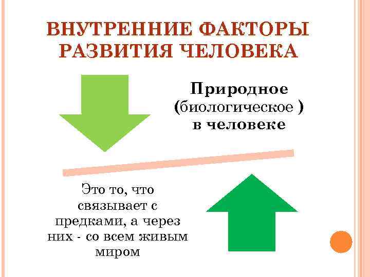 ВНУТРЕННИЕ ФАКТОРЫ РАЗВИТИЯ ЧЕЛОВЕКА Природное (биологическое ) в человеке Это то, что связывает с