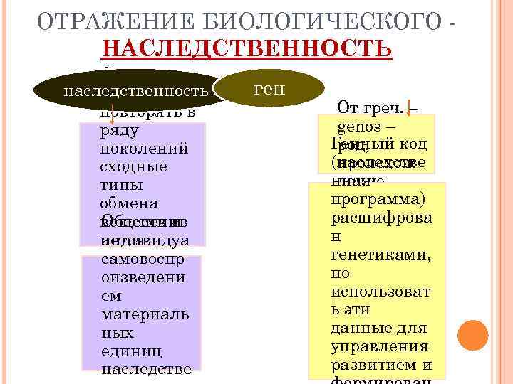 ОТРАЖЕНИЕ БИОЛОГИЧЕСКОГО НАСЛЕДСТВЕННОСТЬ Свойство наследственность организмов повторять в ряду поколений сходные типы обмена Обеспечив