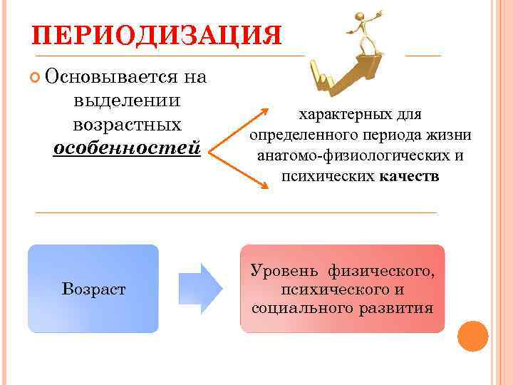 ПЕРИОДИЗАЦИЯ Основывается на выделении возрастных особенностей Возраст характерных для определенного периода жизни анатомо-физиологических и