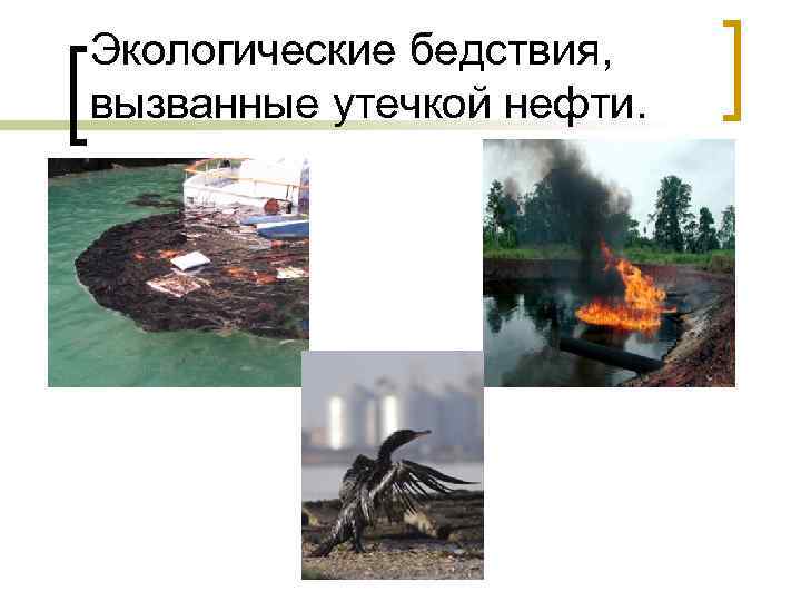 Экологические бедствия, вызванные утечкой нефти. 
