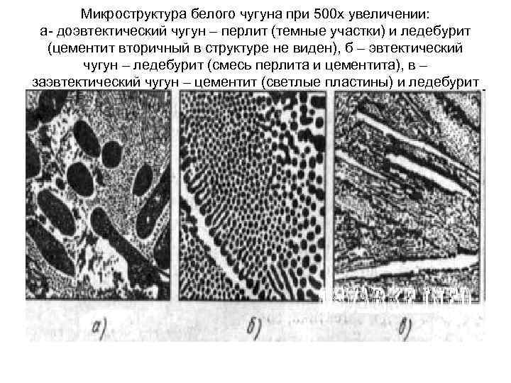 Микроструктура белого чугуна при 500 х увеличении: а- доэвтектический чугун – перлит (темные участки)