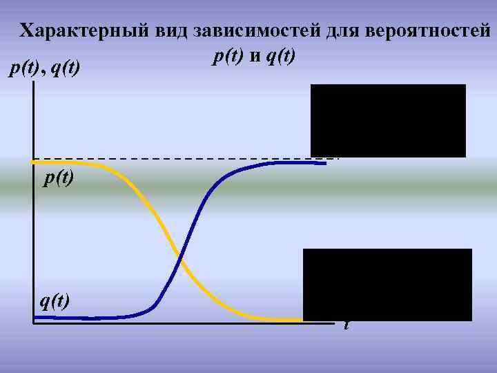 Характерный вид зависимостей для вероятностей p(t) и q(t) p(t), q(t) p(t) q(t) t 