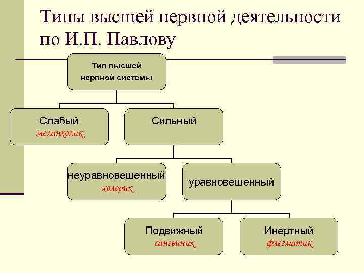 Типы высшей нервной деятельности по И. П. Павлову Тип высшей нервной системы Слабый меланхолик