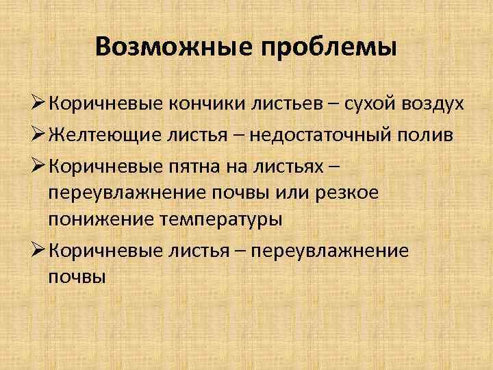 Возможные проблемы Ø Коричневые кончики листьев – сухой воздух Ø Желтеющие листья – недостаточный