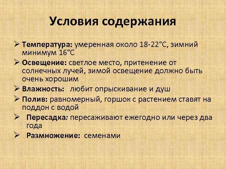Условия содержания Ø Температура: умеренная около 18 -22°С, зимний минимум 16°С Ø Освещение: светлое