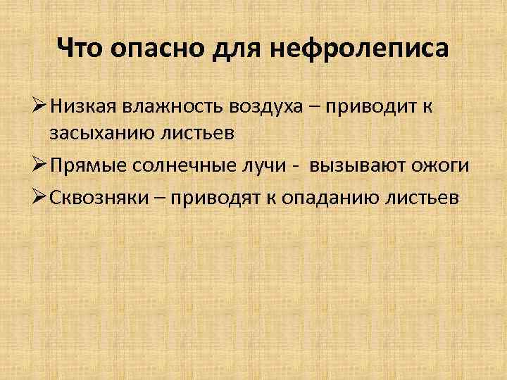 Что опасно для нефролеписа Ø Низкая влажность воздуха – приводит к засыханию листьев Ø