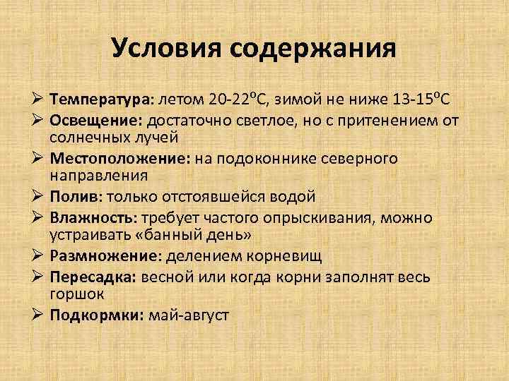 Условия содержания Ø Температура: летом 20 -22⁰С, зимой не ниже 13 -15⁰С Ø Освещение: